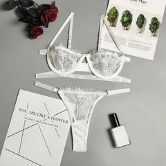 Lingerie Woman Lace Transparent Underwear Fairy Embroidery Brief Sets