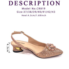 Matching Shoes and Bags: Italian Women Shoes Matching Bag in Champagne Color