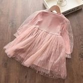 Fall Baby Girl Cute Costume Children Girls Mesh Cotton Dress