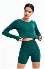 Seamless Yoga Set Gym Clothes Sportswear Yoga Suits For Women