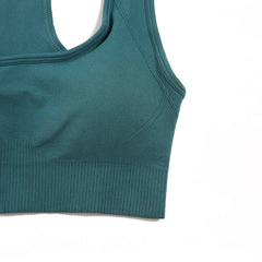 Seamless Yoga Set Gym Clothes Sportswear Yoga Suits For Women