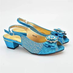 Matching Shoes and Bags: Italian Design Ladies Shoes with Matching Bag Set