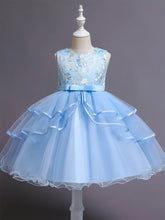 Blue girl's floral embroidery dress sleeveless slim princess birthday party dress piano performance Wear