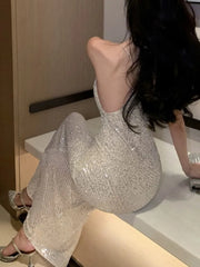 Evening Dresses: Bodycon Sequined Evening Party Long Dresses for Women