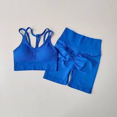 Women Yoga Set Gym Sportswear Sport Bra and Hight Waist Shorts Suit Fitness Workout