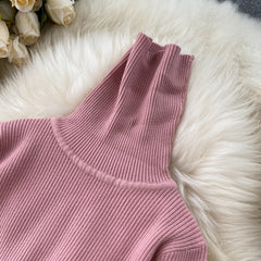 Sweater Dress Winter Turtleneck Warm Long Sleeve Knit Dress Korean