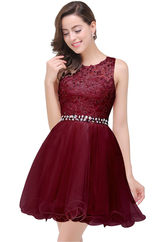Homecoming Dresses: Prom Dresses Lace Appliques Dress A-Line