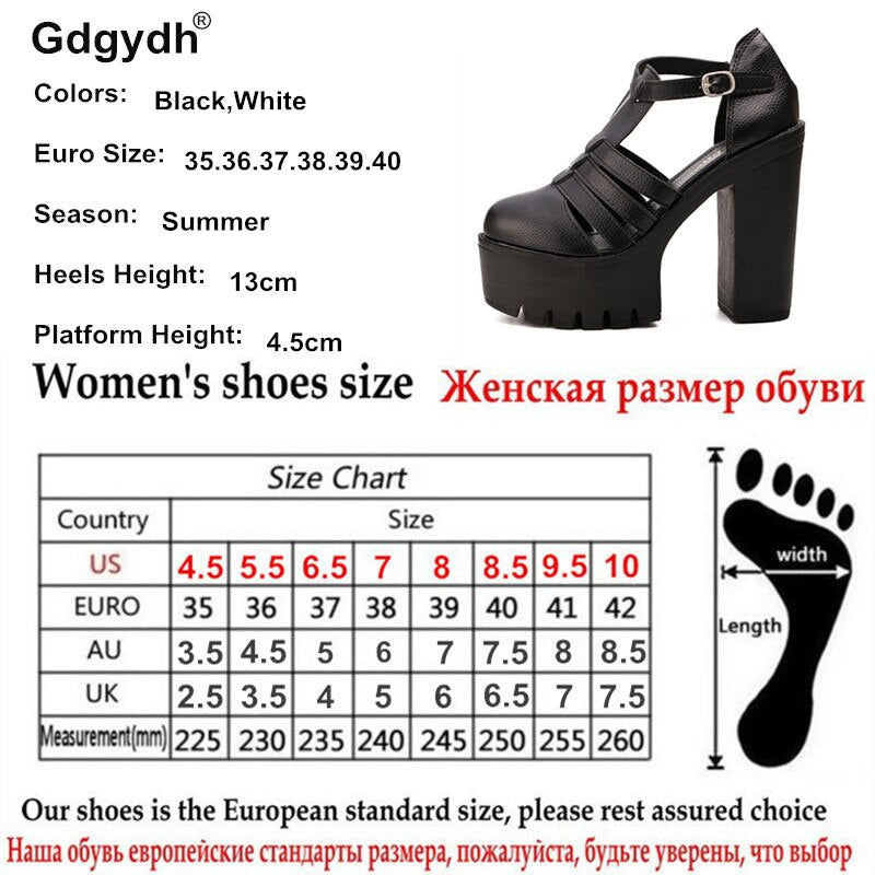 Summer Fashion High Platform Sandals Women Casual Ladies Shoes China Black