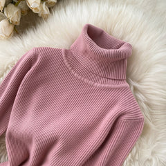 Sweater Dress Winter Turtleneck Warm Long Sleeve Knit Dress Korean