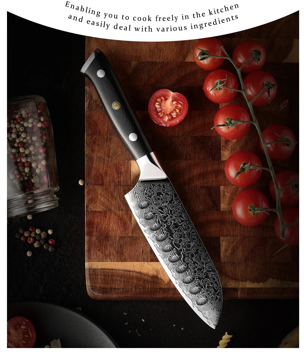 5 Inch Santoku Knife Japanese Damascus Stainless Steel 67 Layers Japanese