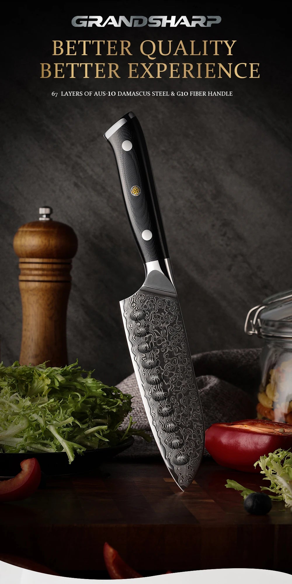 5 Inch Santoku Knife Japanese Damascus Stainless Steel 67 Layers Japanese