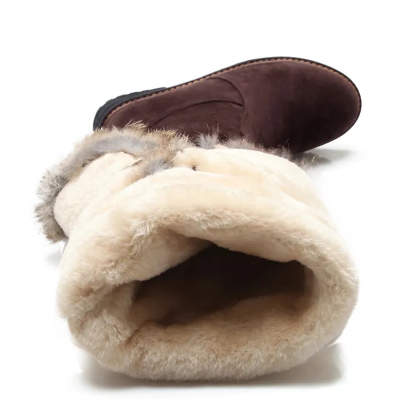 Snow Boots for Women: Fur Plush Over Knee High Boot Ladies