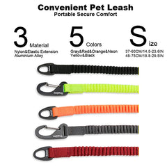 Truelove Short Bungee Dog Nylon Leash Rope For dog collar Extension Retractable