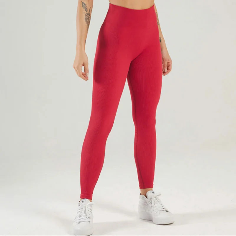 Tossy Ribbed Yoga Leggings Sports Tights Women Seamless Knit Yoga Pants White