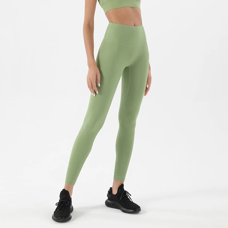 42804065173643|42804065271947|42804065403019|42804065468555