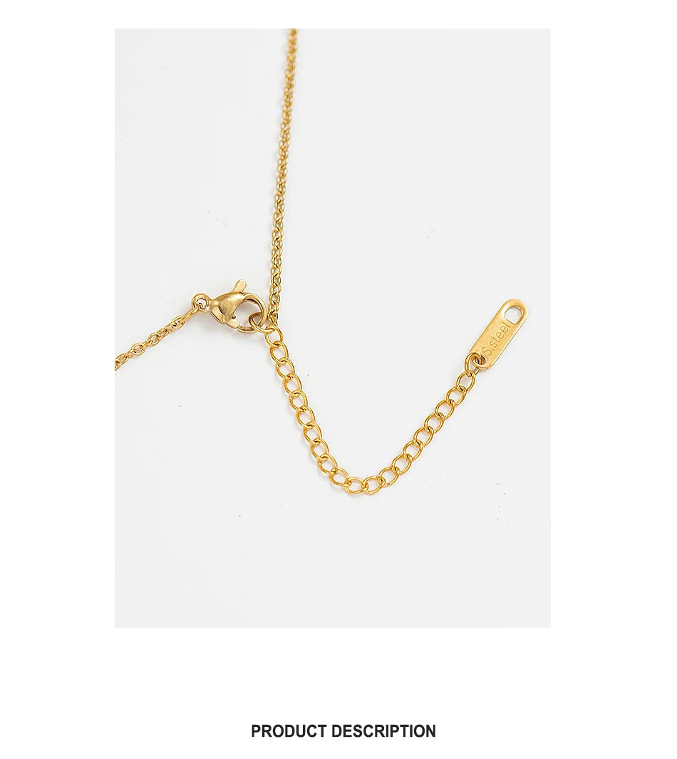 Wild & Free Stainless Steel Round Gold Plated Disc Choker Necklace For Women