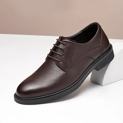 GOLDEN CAMEL Luxury Men's Shoes Genuine Leather Dress Shoes Breathable