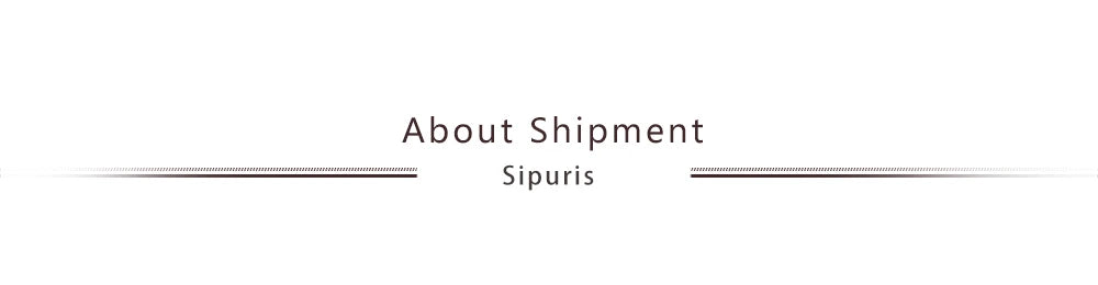 Sipuris Stainless Steel Personalized Customize Name Hoop Earrings Jewelry For Women Girls Circle Earring Fashion 30-60 MM