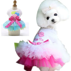 Dog Summer Dress Cat Lace Skirt Pet Clothing Chihuahua Stripe Skirt Puppy