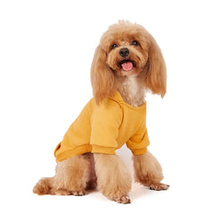 Autumn Winter Small Dog Clothes with Zipper Pocket Dog Hoodie Small Dog Coat Jacket