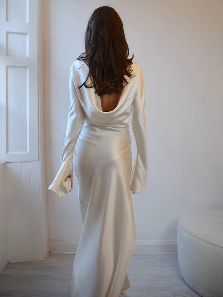 Evening Dresses: Elegant Dress Women Long Sleeve Dress Bodycon