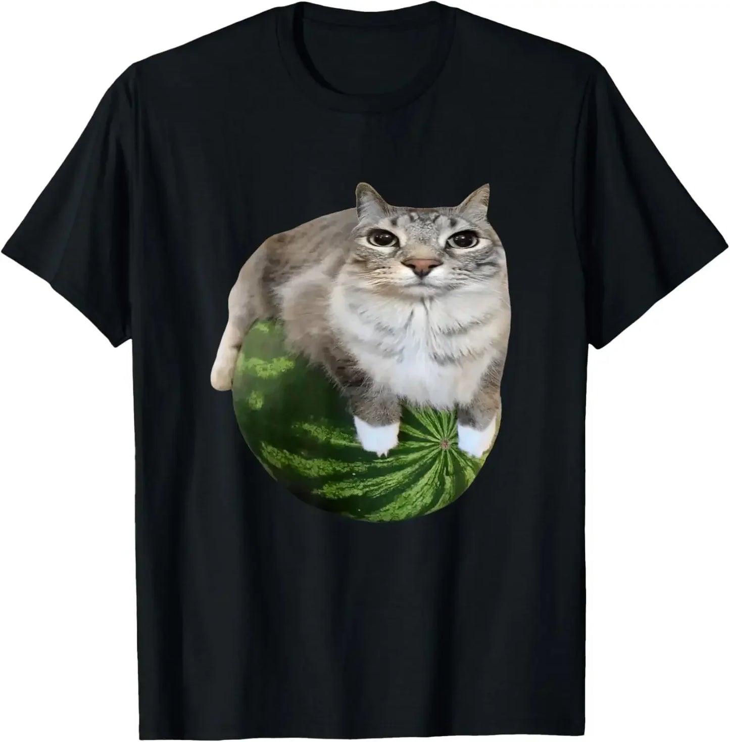 90s Y2k Watermelon Cat Silly Cat Meme T-Shirt A Hilarious Watermelon Print Shirt Is A Stylish Top Tee Women
