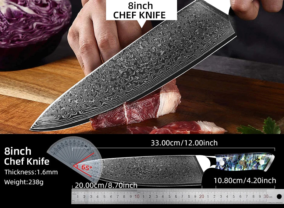 Damascus Knife Chef Knife Japanes VG10 67 Layer Steel Cleaver Paring Bread Knife