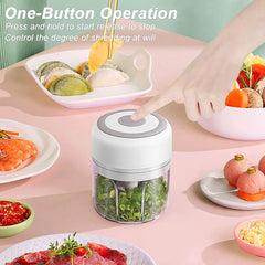 Efficient, Handy, and Portable Multifunctional Mini USB Kitchen Food Chopper