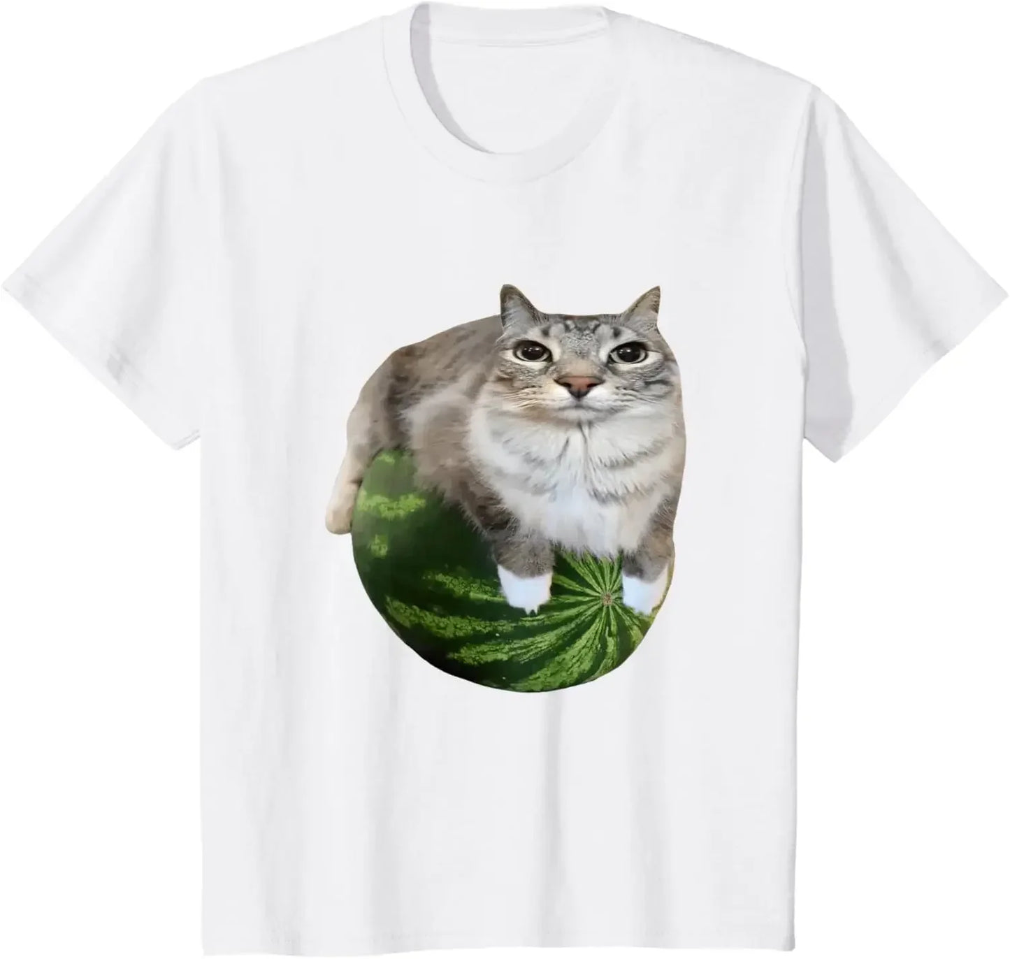 90s Y2k Watermelon Cat Silly Cat Meme T-Shirt A Hilarious Watermelon Print Shirt Is A Stylish Top Tee Women