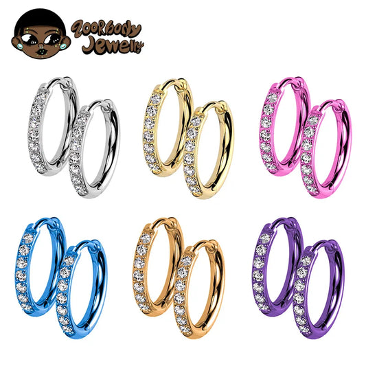 2PCS G23 Titanium Earring High Quality Hoop CZ Hinged Segment Round Nose Ring for Women Ear Cartilage Helix Piercing Anodizing