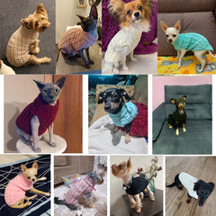 Dog Sweaters for Small Dogs Winter Warm Dog Clothes Turtleneck Knitted Pet Clothing