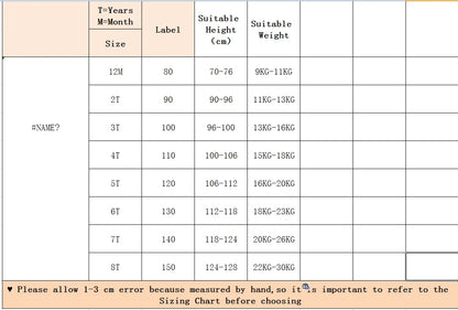 Children's Sets Style Boys Autumn Outfit Trendy Spring/Autumn Fashion for Medium/Large Kids Traditional Modern Handsome