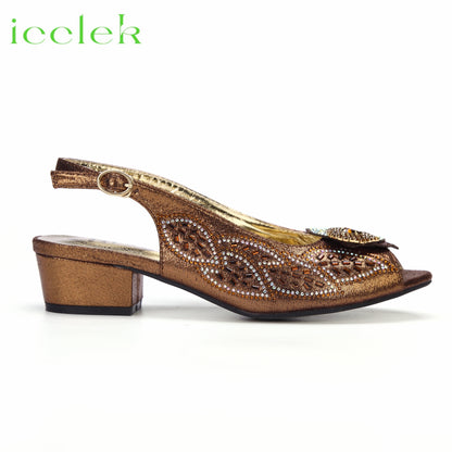 2023 Newest INS Style Brown Color Elegant Low Heels Nigeria Popular Design African Ladies Shoes And Bag Set for Wedding Party