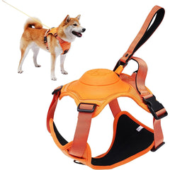 Dog Harness and Retractable Leash Set All-in-One. Automatic Anti-Burst Impact