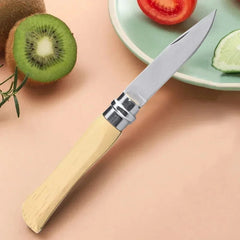 Folding Peeler Sharp Fruit Knife Stainless Steel Knife Kitchen Knives Fruit and Vegetable