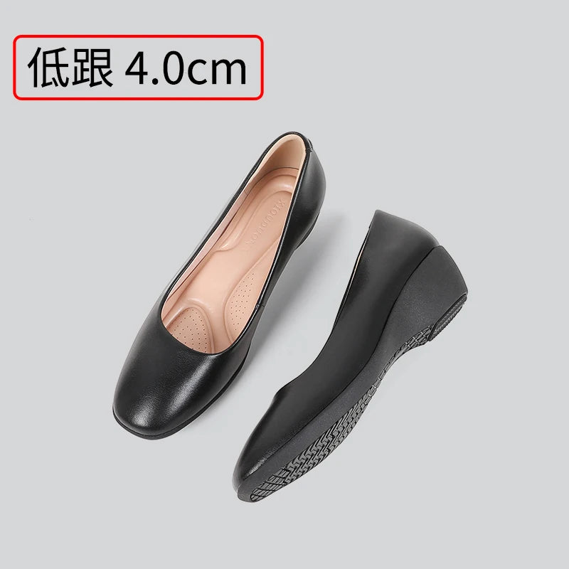 41685961146507|41685961179275|41685961212043|41685961244811|41685961277579|41685961310347|41685961343115