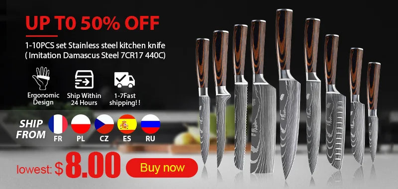 Kitchen knives Set Professional Chef Knives Japanese 7CR17 440C High Carbon