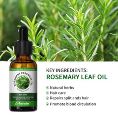 30ml Natural Essential Oils Plant Extract Serum Massage Oil For Hair Skin Body Relax Black Seed Oil Rosemary Oil 1 Bottle