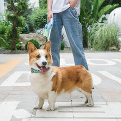 Dog Leash With Light And Garbage Bag Automatic Retractable Dog Pomeranian Corgi