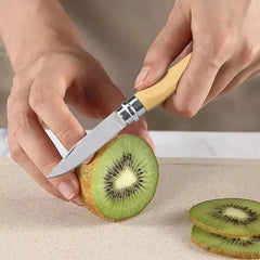 High Hardness Stainless Steel Folding Fruit Knife Household Vegetable Slicing Knife