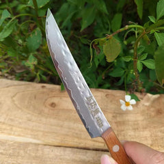 67-ply Forged Damascus Steel Steak Blade Sharp Peeling Fruit Knife Mongolian