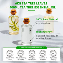 100ML Tea Tree Essential Oils for Diffuser Humidifier Aromatherapy Massage Aromatic Oil for Candles Making Soap Hair care