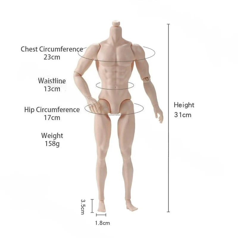 1/6 Male Doll 35cm Height Man Doll White/Normal/Tan Skin Strong Man