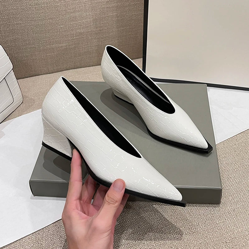 New Spring Crocodile Pattern Designer Vintage Dress Shoes Ladies Wedges Pointed Toe V Cut Woman Shoes High Heel Pumps Sexy C099