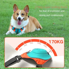 No Pull Dog Harness with Dog Leash Retractable，Adjustable, dog chest strap