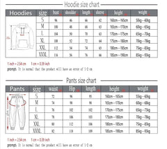 2 Piece Mens Track Suits 2024 Autumn Winter Jogging Sports Suits Sets Sweatsuits