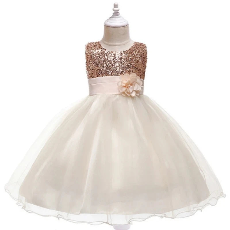 Girl Dress Flower Embroidered Bow Princess Dress Children Lace Mesh Tutu Wedding