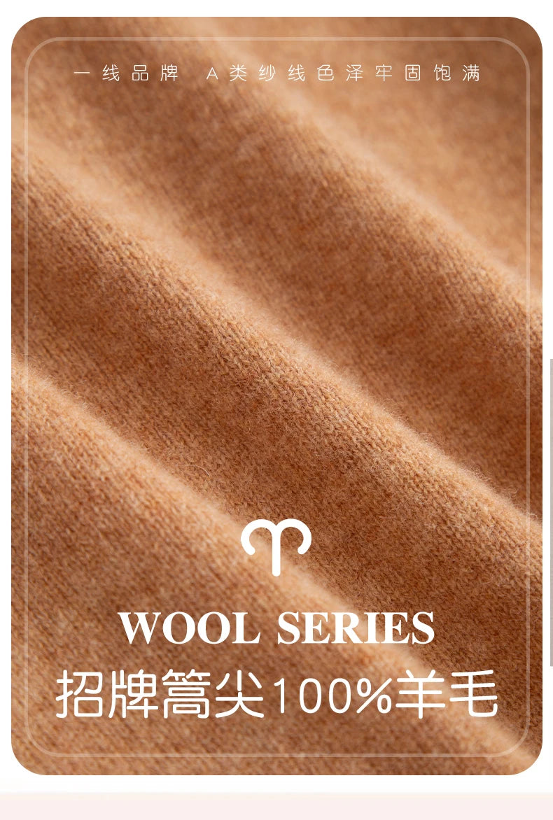Fashion Men's 100% Wool Pullover Half-high Collar Sweater Autumn Winter Warm Top