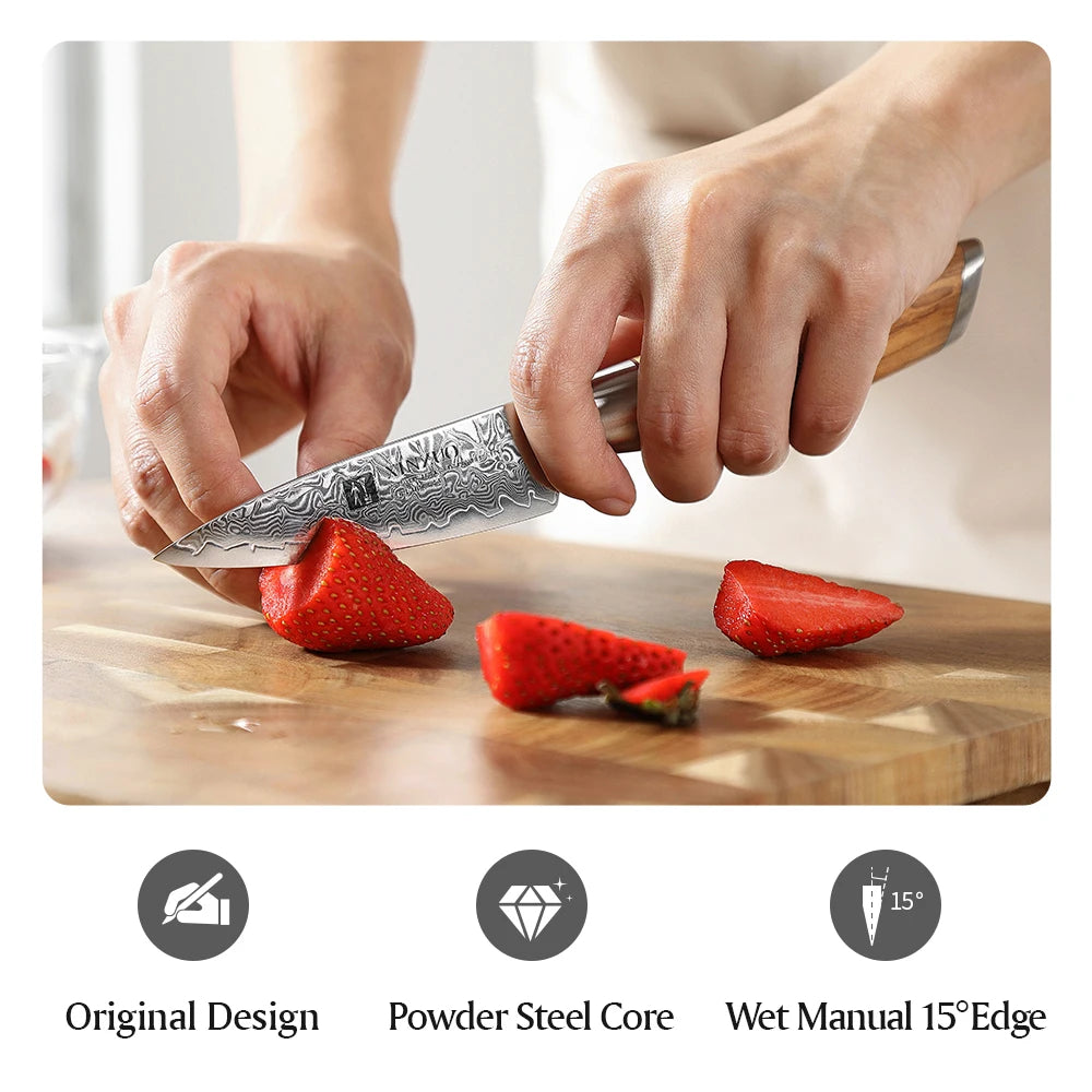 3.5'' in Paring Knife 73-layer Damascus Steel Damascus Steel Utility Knife