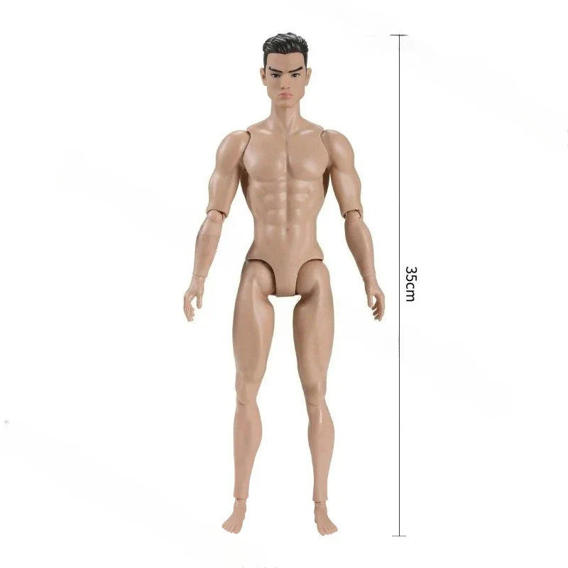 1/6 Male Doll 35cm Height Man Doll White/Normal/Tan Skin Strong Man